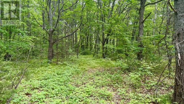 207 MIDDLE RIDGE ROAD Brighton, ON K0K 1H0