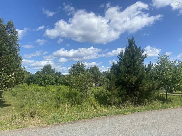 Lot 24 OLD COURT HOUSE BRANCH Road  Murray Siding, NS B6L 3X4