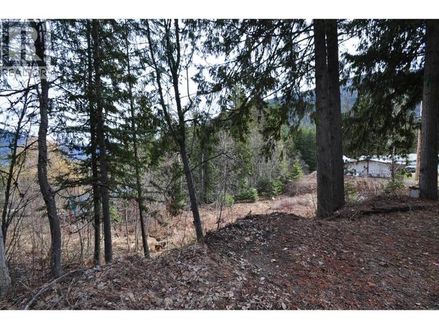 2835 SILVER KING Road  Nelson, BC V1L 7A5