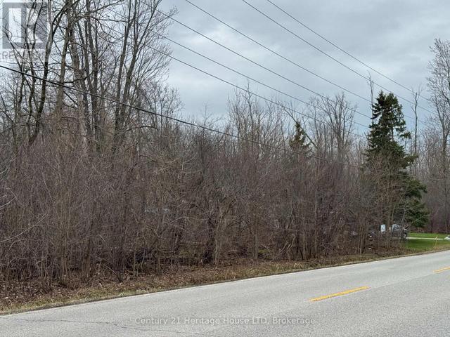 V/L- PTLT 4 HELENA STREET Fort Erie (Lakeshore), ON L2A 4K3