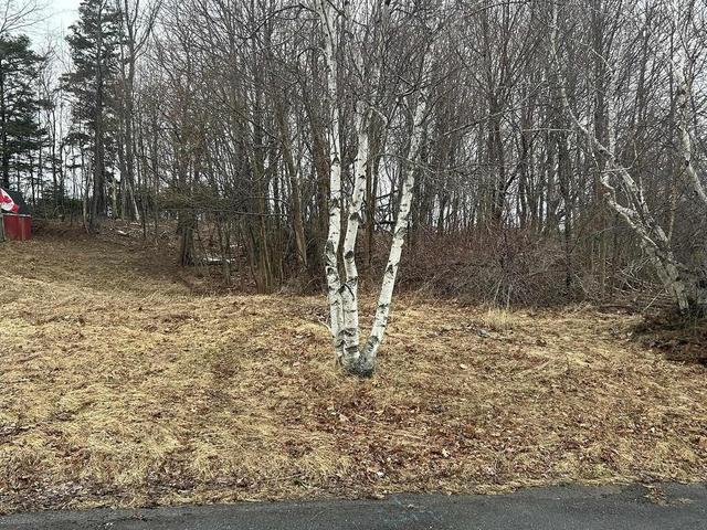 Lot 1 511 BIRCH Street  New Glasgow, NS B2H 1Y2