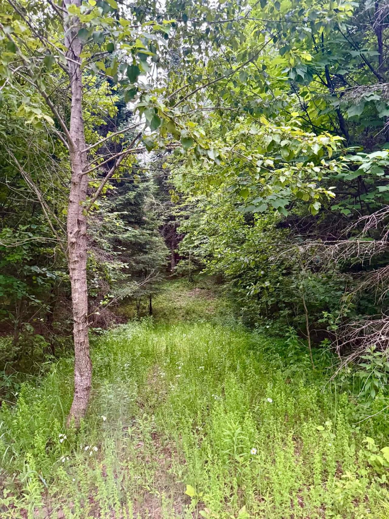 Lot - Ch. Des Malards, Mont-Blanc, QC 