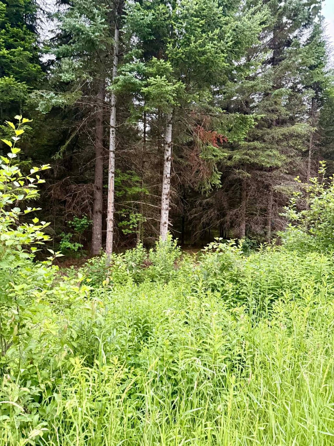 Lot - Ch. Des Malards, Mont-Blanc, QC 