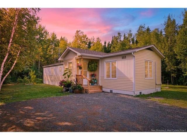 103 Northwood ST  Fredericton, NB E3B 6R4