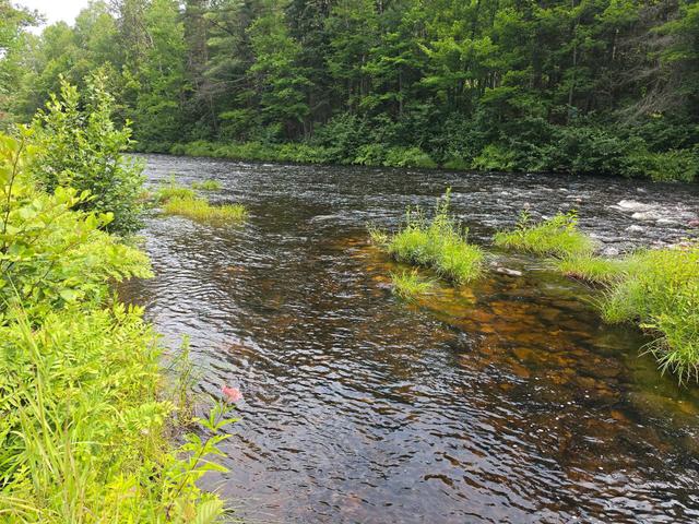 82 Tsse Picard  Mandeville, QC J0K 1L0