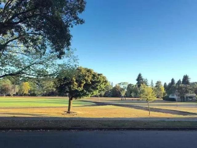 3093 29th Avenue W Vancouver, BC V6L 1Y5