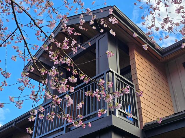 29-555 Raven Woods Drive  North Vancouver, BC V7G 0A4
