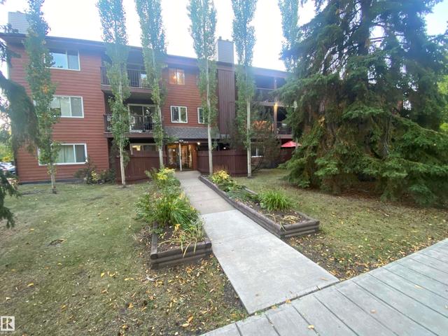 #302 10826 113 ST NW  Edmonton, AB T5H 3J2