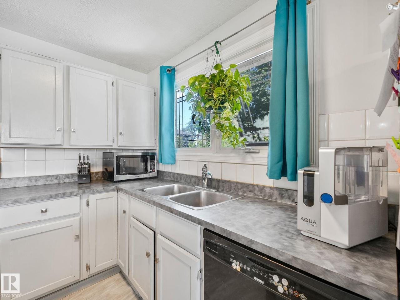 164 Warwick Road Nw, Edmonton, AB - Indoor Photo Showing Kitchen With Double Sink