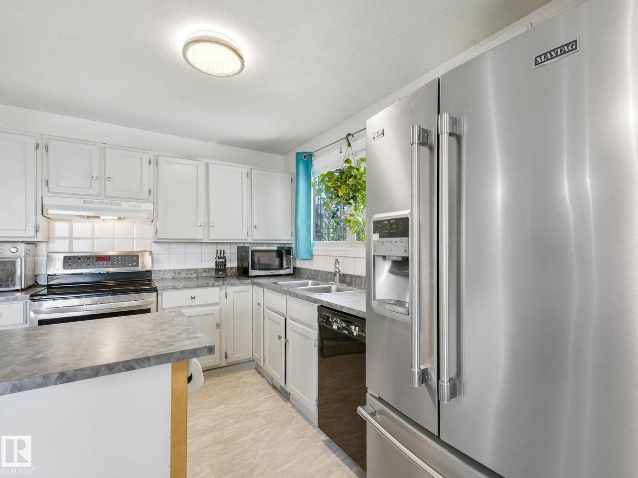 164 Warwick Road Nw, Edmonton, AB - Indoor Photo Showing Kitchen With Double Sink