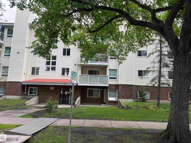 #203 11807 101 ST NW  Edmonton, AB T5G 2B6