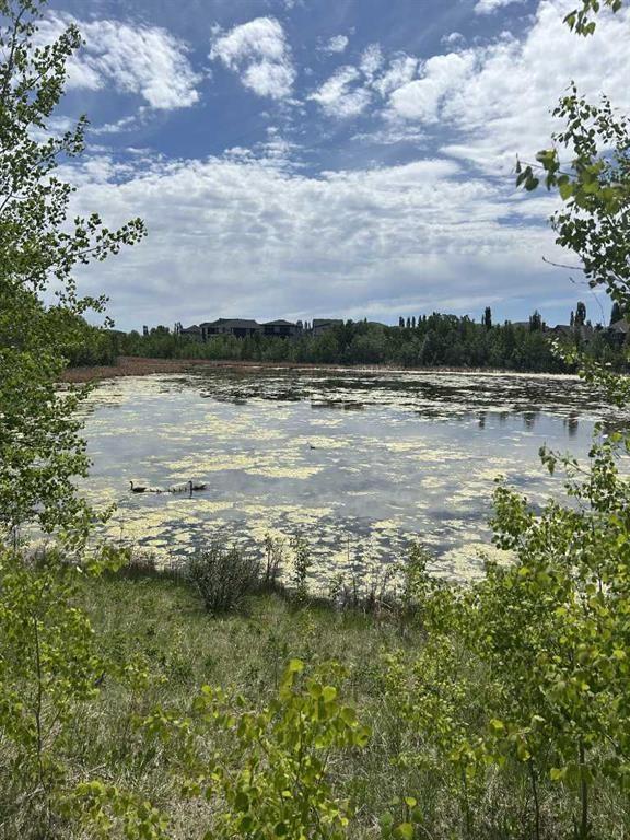 284 Rock Lake Drive NW Calgary, AB T3G 5Z4