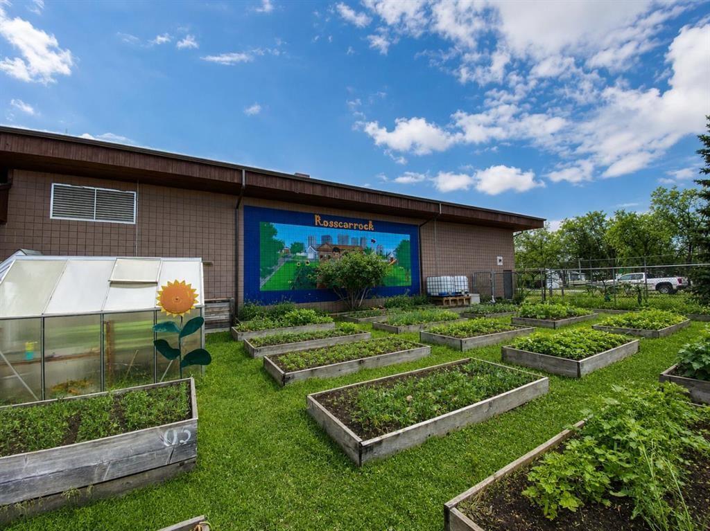 20 Rossburn Crescent Sw, Calgary, AB - Outdoor